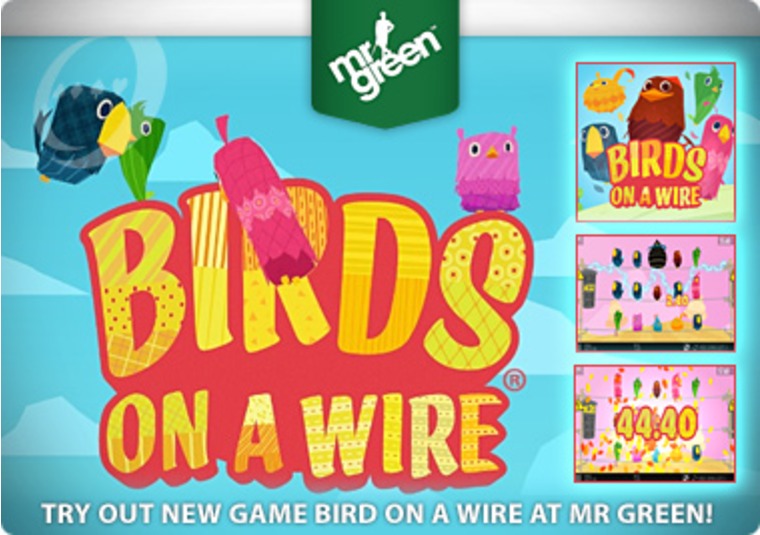 Try Out New Game Bird on a Wire at Mr Green