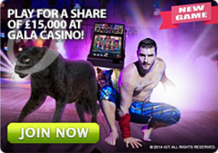 Play for a Share of 15,000 at Gala Casino