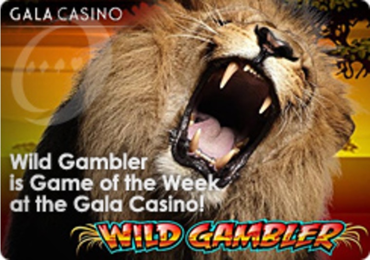 Wild Gambler is Game of the Week at the Gala Casino