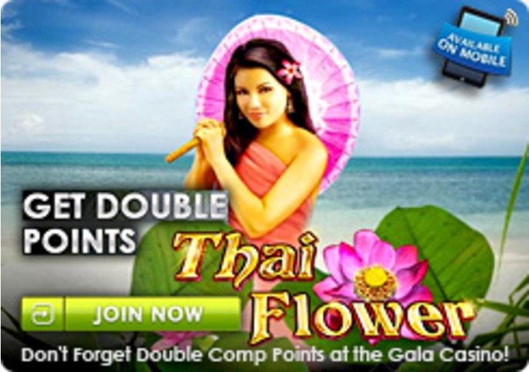 Play Thai Flower at the Gala Casino for Double Points
